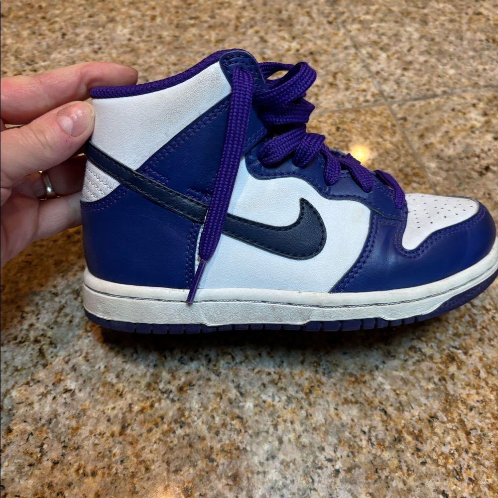 Lightly worn Nike Dunks high top size 12c